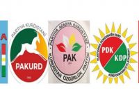 "Fezlekelerin siyasi amaçlı olduğu aşikardır"