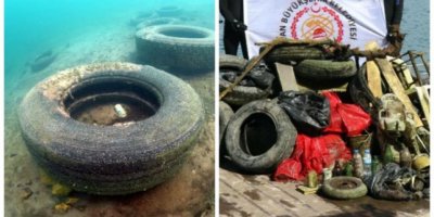 Van Gölü'nde 'trafik canavarı' varmış