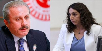Meclis Başkanı Şentop: DBP'li Aydeniz'in dokunulmazlığı kaldırılmalı
