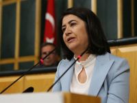 HDP Eş Genel Başkanı Serpil Kemalbay hakkında gözaltı kararı