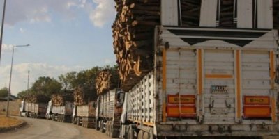 Ağaç kesimleri ile ilgili Şırnak’ın üç milletvekili de dinlenmiyor