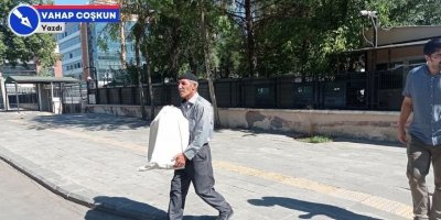 Kutu içindeki kemikler