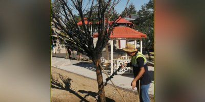 Cemevindeki dilek ağacını yakan iki IŞİD’li tutuklandı; savcı terör suçu demedi
