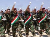 Peşmergenin BM Barış Gücü’ne dahil edilmesine uluslararası destek