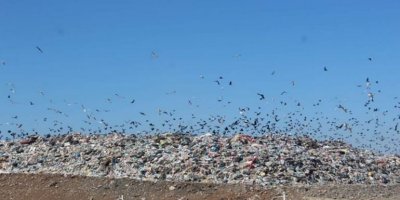 Bingöl’de çöp tesisi hastalık saçıyor