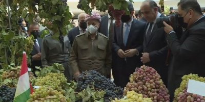 Duhok'ta 110'dan fazla üzüm çeşidi üretiliyor