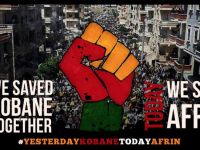 Dünyanın en ilerici demokrasisinin Türkiye tarafından boğazlanmasına izin vermeyelim – Rahila Gupta