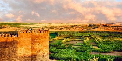 STK’lar: Kayyum tarihi dokuyu talan etti