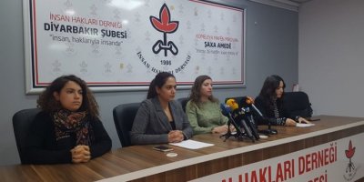 İHD Diyarbakır Şubesi Bölgede 1 yılda kadına yönelik şiddet raporunu açıkladı