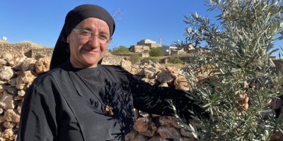 36 yıl sonra köyüne dönmüştü: Süryani rahibenin köyünde diktiği zeytin fidanlarını kırdılar