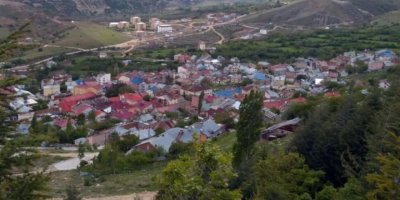 Hozat’ta kuduz tedbiri: 6 ay hayvan giriş çıkışı yasak