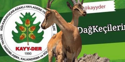 Bingöl’de 'dağ keçisi' katliamına onay