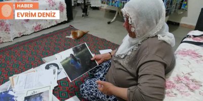 Fiskaya, Rozerin ve üç kedi yavrusu