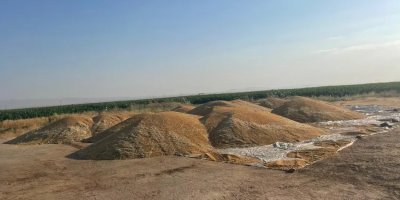 TMO randevu vermiyor, çiftçi tüccarın eline düşüyor