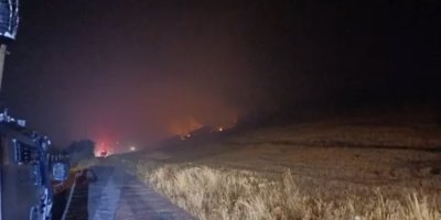 Diyarbakır'da orman yangını!