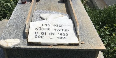 Ezidi köyünde yaşananlar: 4 bin dönümlük köyü 40 dönüm sahipleri zapt etmiş durumda!