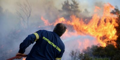Yunanistan'da 2 haftada 600'den fazla orman yangını: 'Hükümet çelişki içinde'