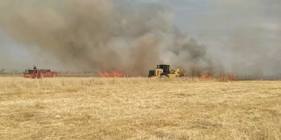 Mardin’de DEDAŞ gerginliği: Tarla ateşe verildi