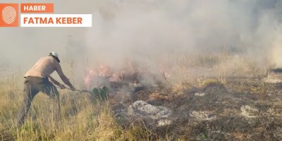 Bingöl'deki yangın 5 gündür devam ediyor: 'Havadan müdahale lazım'