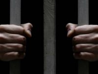 ”Hakkari’de siyasi, istanbul’da hırsızlık suçu ilk sırada”