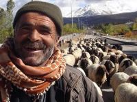 "Hayvancilık TSK ile PKK arasında sıkışıp kaldı"