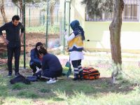 Diyarbakır'da liseli kız, okul getirdiği tabancayla önce başına sıktı sonra sınıfları gezdi...