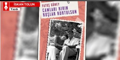 İskan Tolun: Camları Kırın Kuşlar Kurtulsun!..