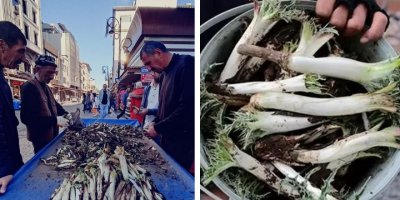 Diyarbakır'da kenger sezonu açıldı