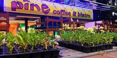 Gözaltına alınmıştı: Kürtçe hizmet veren kafenin sahibine 'dengbêj' soruldu