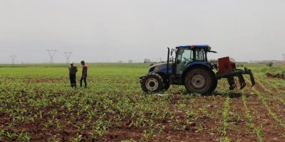Diyarbakırlı çiftçiler, hayal kırıklığına uğradı