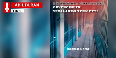 Diyarbakır Zindanı’nda Güvercinler yuvalarını terk etti