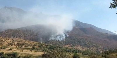 CPT: TSK Kürdistan Bölgesi ve Musul’da 800'den fazla saldırı düzenledi