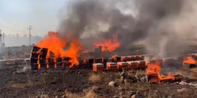 Siverek’te yangın arı kovanlarına sıçradı: Yüzlerce arı telef oldu