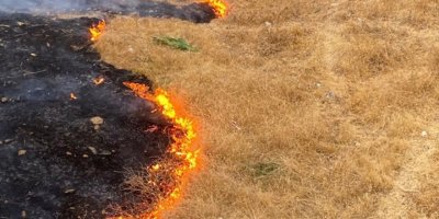 Anız yakma meselesi - Vahap Uluç*