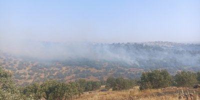 Mardin'de 5 ayrı noktada yangın çıktı