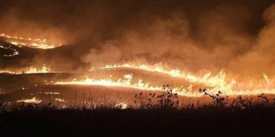 Diyarbakır ve Mardin'de yangının yaşandığı bölge "Afet Bölgesi” ilan edildi