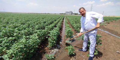 Diyarbakır’dan, yangında zarar görenler için destek çağrısı