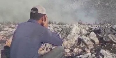 Silahlı gruplar ve Arap yerleşimciler Efrin’de ağaçları ateşe verdi