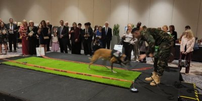 Peşmerge'ye Washington'da ödül