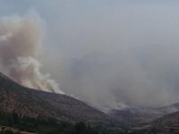 Bradost'ta çatışma