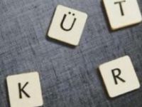 Kürd'ün Türk'ün aklına ihtiyacı var mı?