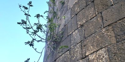 Diyarbakır Sur Burcunda İlginç Görüntü..!!