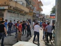 Suruç/ Otopsiler AKP ve medyasını yalanlıyor!