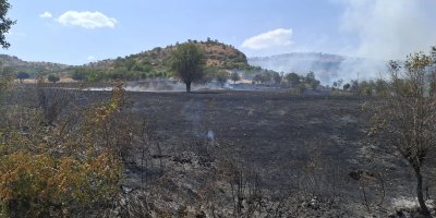 Diyarbakır kırsalında yangın: Bağ ve bahçeler kül oldu