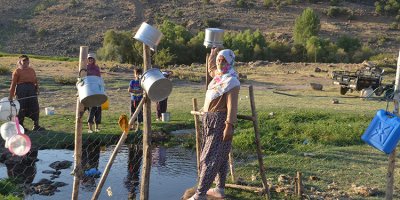 "Berivanlar" motosikletle süt sağmaya gidiyor