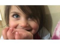 Ağrı Valisi: Leyla Açlıktan Ölmüş