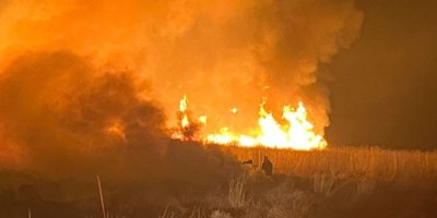Hakkari'de kuş cennetinde yangın