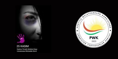 Mustafa Özçelik: Kadına şiddet utanç verici bir insanlık suçudur