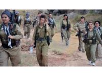 PDK-İ: İran'ın bombardımanı sonucu 2 Peşmerge şehit!