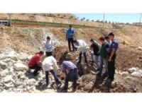 Urfa/ Küçük kızın kafası koparılmış cesedi bulundu!